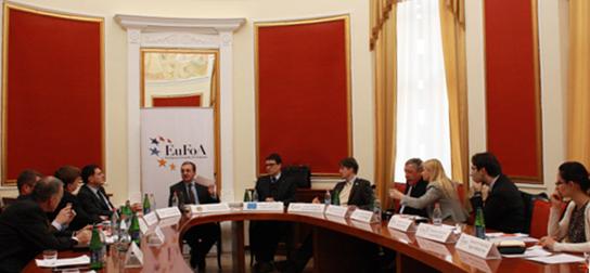 Yerevan Council meeting - February 2013 (Source: EuFoA)